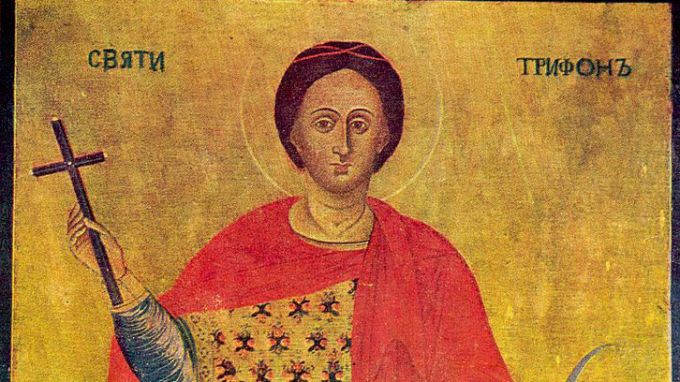 Православната църква почита Св. Трифон