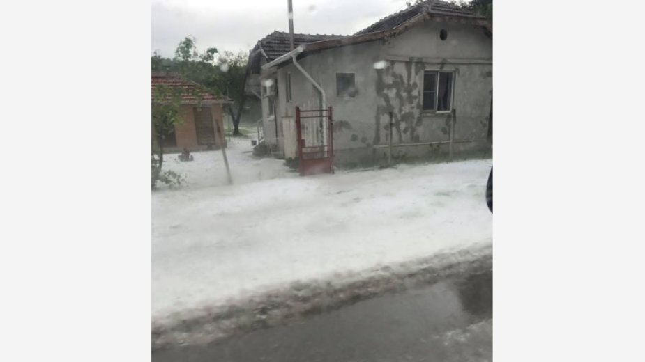 Градушка унищожи насажденията в някои села в Северозапада